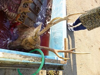 P1000014.jpg